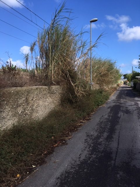 CAPO D’ORLANDO – Decespugliamento, manutenzione strada Forno-Bruca. L’opposizione interroga