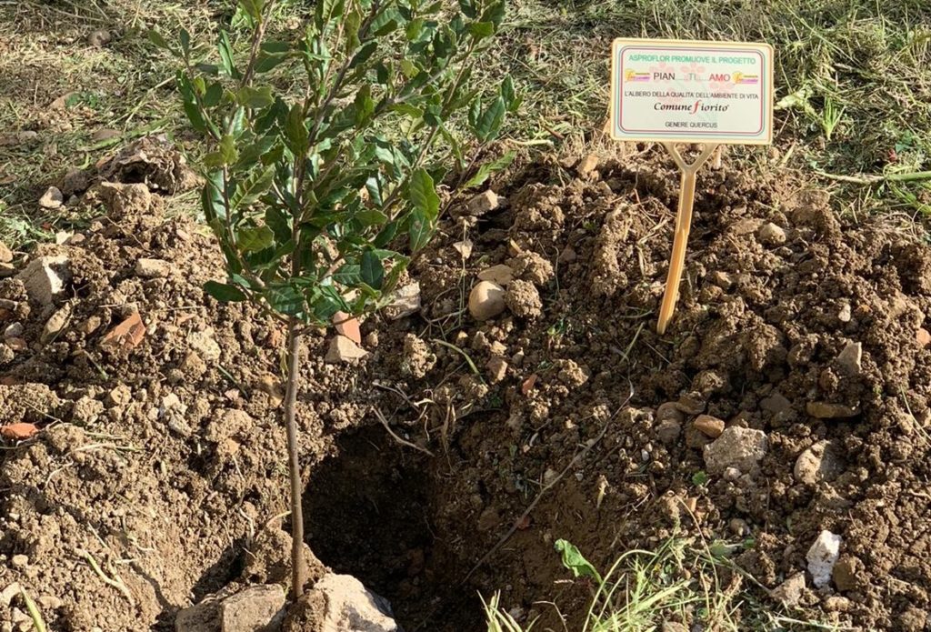 TUSA – Aderisce a “Pian..Ti..Amo” l’niziativa dei Comuni Fioriti
