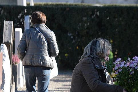 BROLO – La paura corre sul social