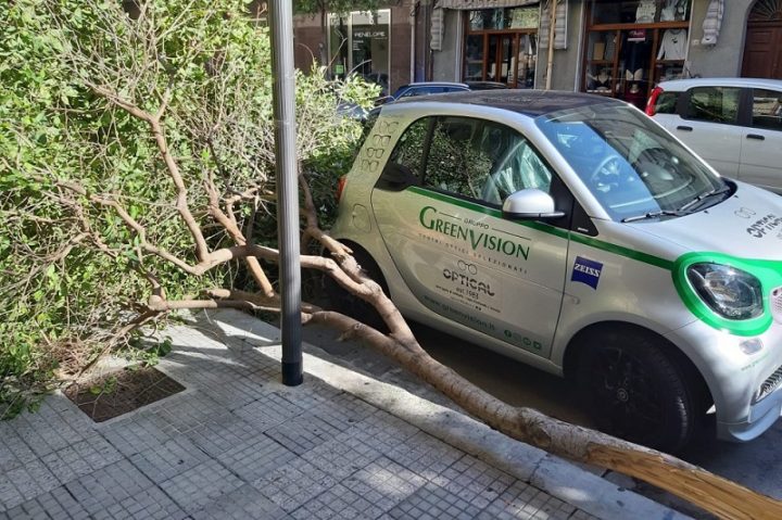 CAPO D’ORLANDO – Maltempo, albero frana su auto in sosta