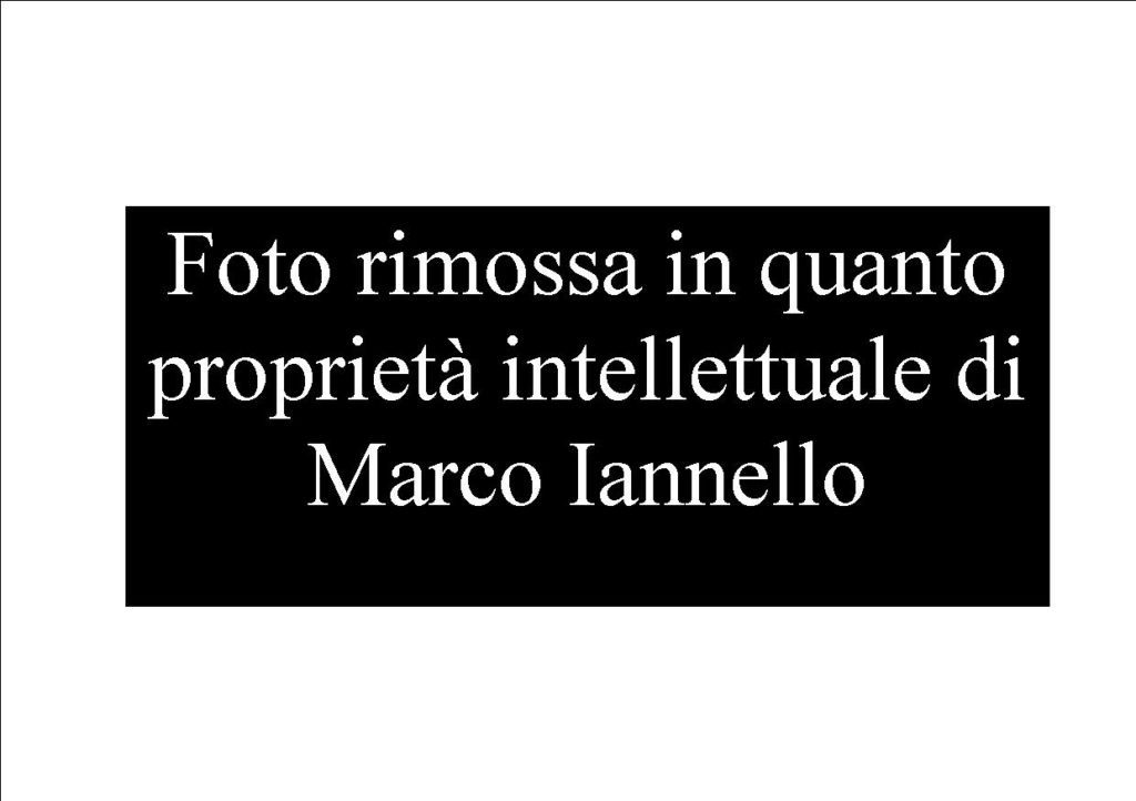 RANDAGI – Enpa perplessa su certe amministrazioni locali e le attenzioni verso i “pelosi” abbandonati