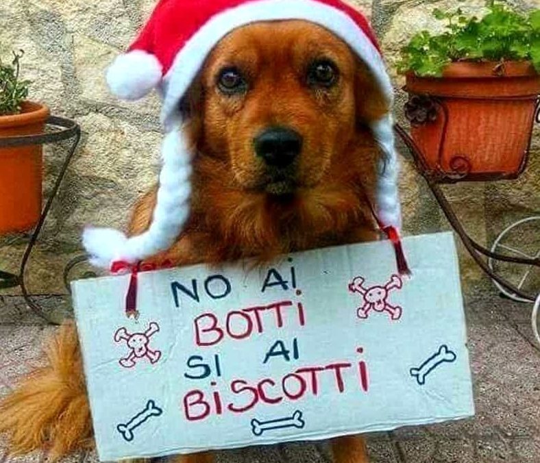 CAPO D’ORLANDO – Firmata ordinanza contro l’utilizzo dei botti a Capodanno