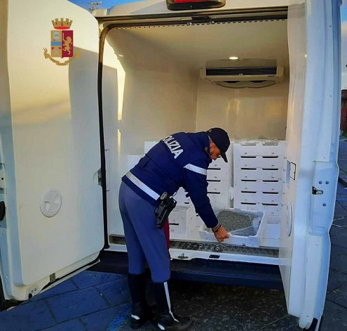 BARCELLONA P.G. – Sequestrati 1.100 kg di novellame