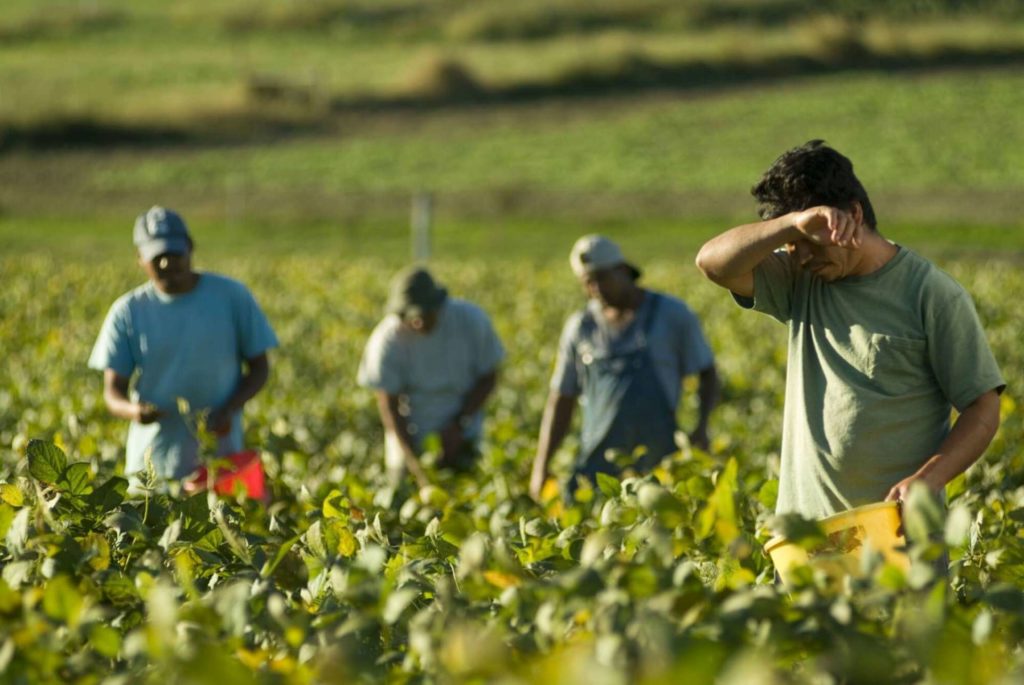 SNAF FNA SICILIA – Contro il caporalato meno burocrazia, più trasparenza, filiera corta e maggiore apporto dello Stato
