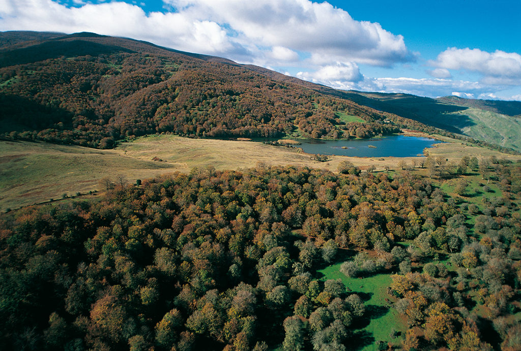 PARCO DEI NEBRODI – Primo Forum sulla Carta Europea del Turismo Sostenibile dei Nebrodi