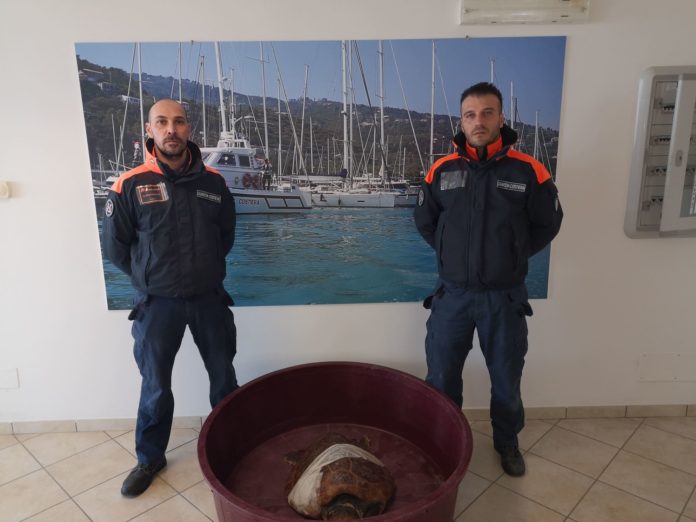 CARONIA – Salvata una tartaruga Caretta Caretta