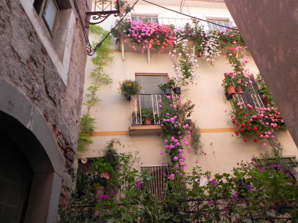 SINAGRA – II edizione del corso di giardinaggio