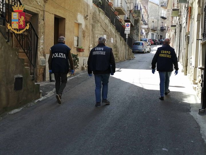 NEBRODI – Servizi a tutela del consumatore, effettuati controlli negli esercizi commerciali