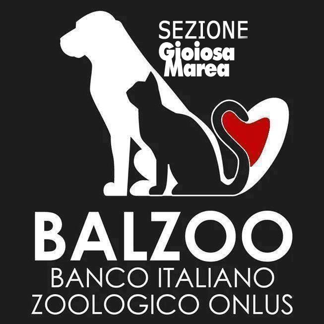 BALZOO GIOIOSA MAREA – Denunciano alla Magistratura il caso dei cani avvelenati a Brolo