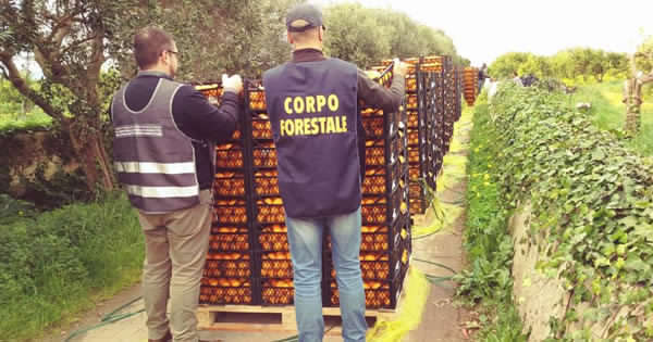 CORONAVIRUS – Controlli alimentari: in Sicilia multe per 50mila euro