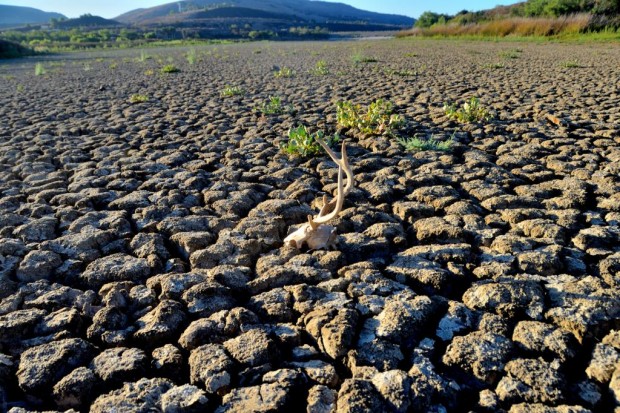 DESERTIFICAZIONE E SICCITÀ – Nella giornata mondiale si riflette sulla cooperazione internazionale