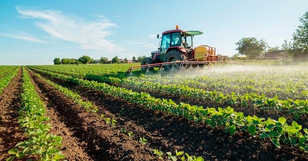 AGRICOLTURA – Imprese danneggiate arrivano 5,5 milioni