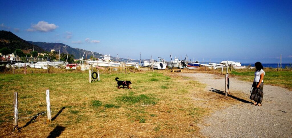 SPIAGGIA PER CANI – A Brolo si può. Aperta anche l’area per lo sgambamento