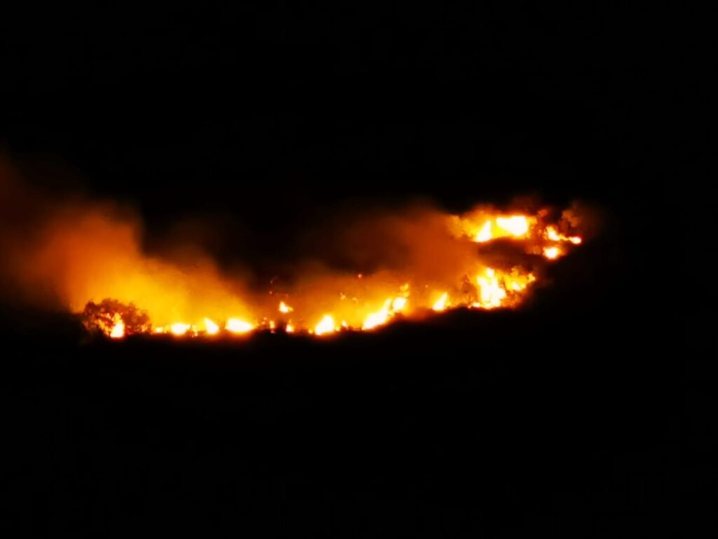 PIROMANI BASTARDI – Notte di fuoco a Piraino. I focolai appiccati in tre punti, su un vasto fronte della collina