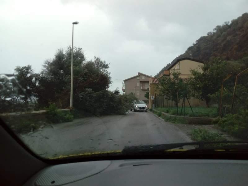 FORTE VENTO – Chiusa momentaneamente la Statale a Calavà. Viabilità compromessa anche a Piraino