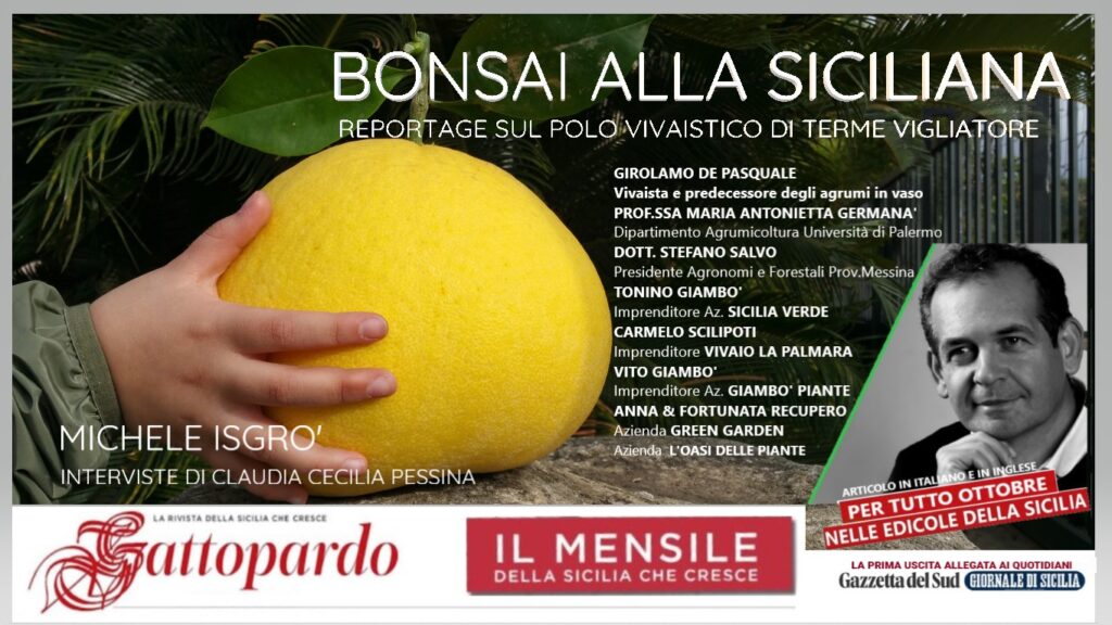 TERME VIGLIATORE – I vivai d’agrumi ornamentali sul prestigioso mensile “Gattopardo”