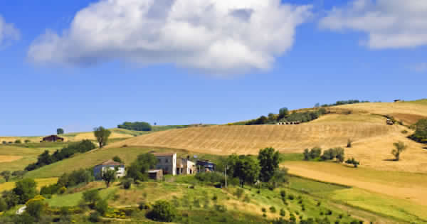 PROGRAMMA DI SVILUPPO RURALE – Sicilia supera il target di spesa dell’Ue