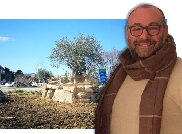 BROLO – A proposito degli alberi