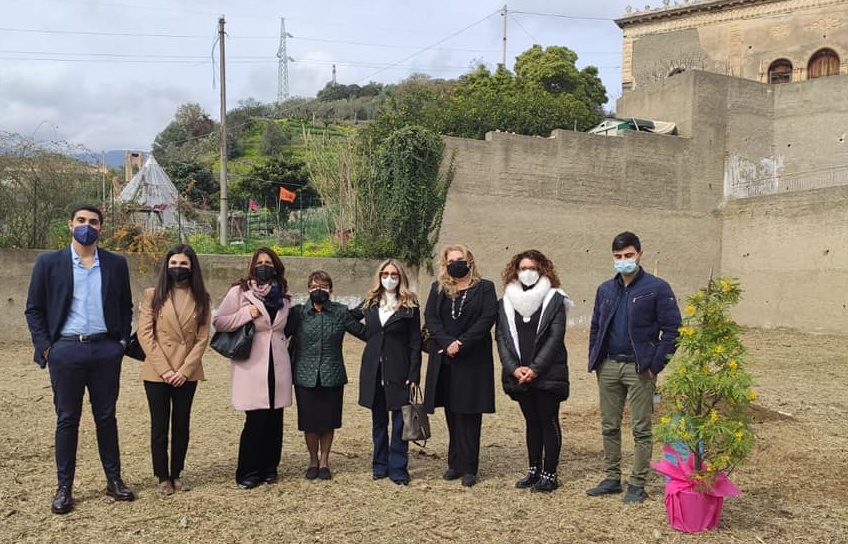DONNE & IMPEGNO POLITICO – Un albero di mimosa donato alla città di Messina