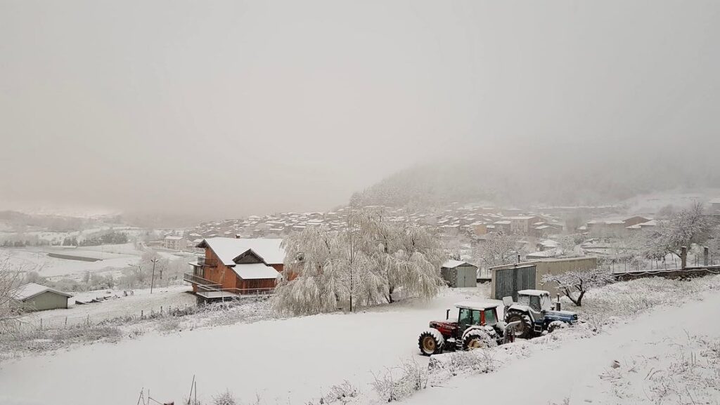 FLORESTA INNEVATA – Ad un passo dalla primavera