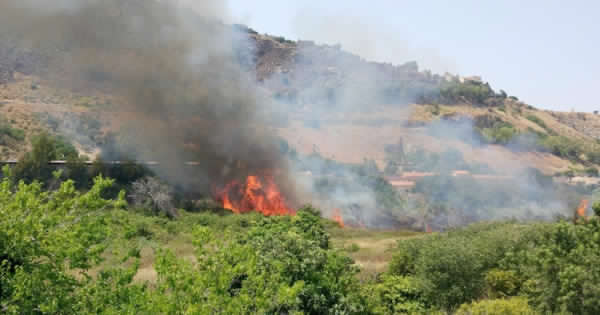CAPO D’ORLANDO – Pulizia dei terreni incolti entro il 15 giugno