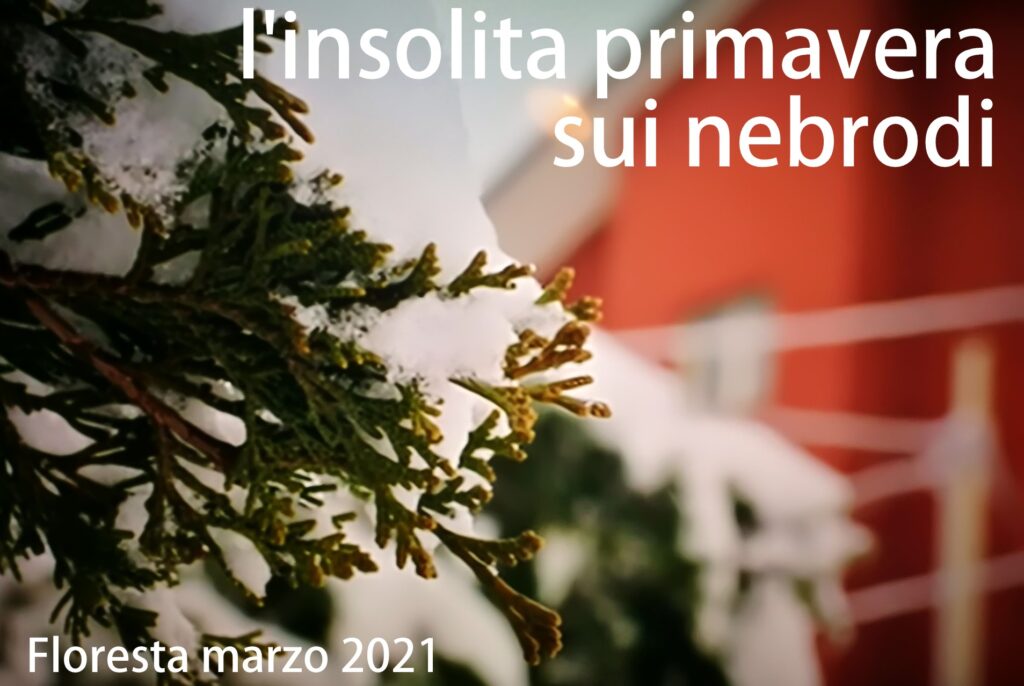 PRIMAVERA INNEVATA – Le immagini di una Floresta imbiancata “volano” sui Tg nazionali