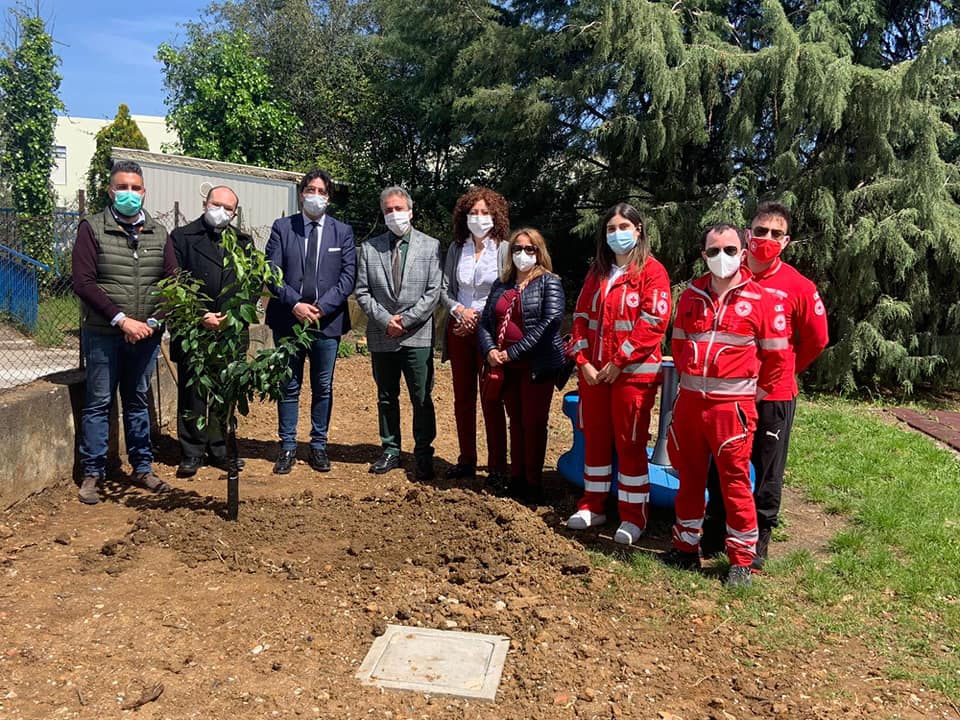 NASO – Giornata della Terra, messa a dimora di un albero in località Convento