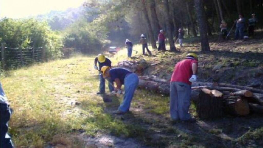 I FORESTALI A MUSUMECI – Siamo stanchi di Precariato e di essere “etichettati” come parassiti