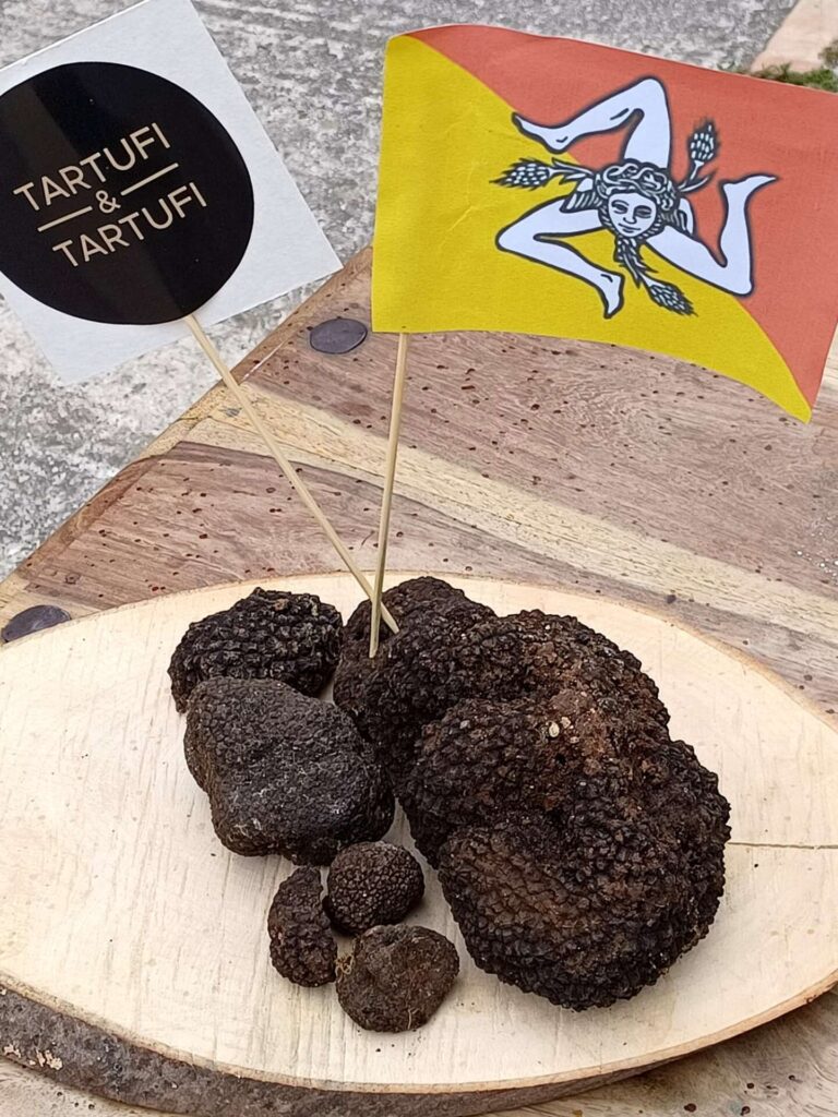 STAGIONI DEL GUSTO – Quella, in Sicilia, del tartufo Scorzone
