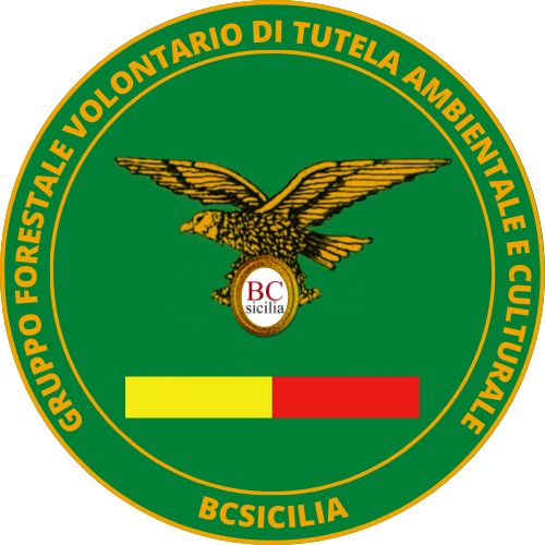 AMBIENTE – BCsicilia aderisce alla Giornata dell’Ambiente e annuncia la creazione del Gruppo Forestale Volontario