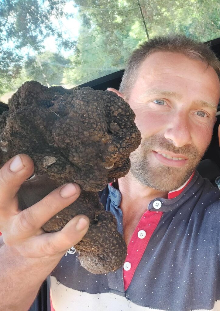ORO DI SICILIA – Trovato un tartufo nero (scorzone estivo) da 724grammi