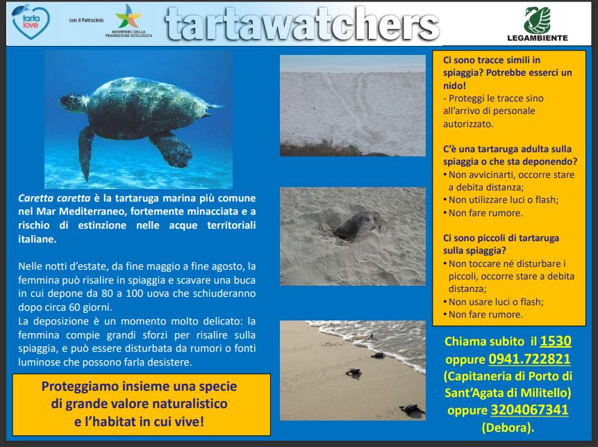 TARTAWATCHERS – Avviate le attività del progetto promosso da Legambiente per la tutela della Tartaruga marina Caretta caretta