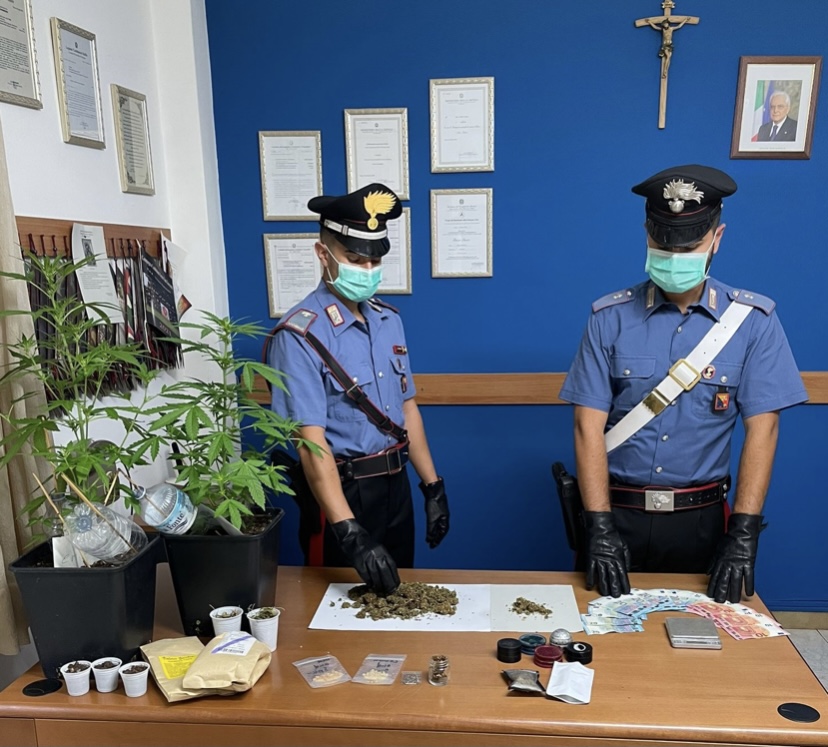 GIOIOSA MAREA – Coltivava cannabis in balcone, denunciato 32enne