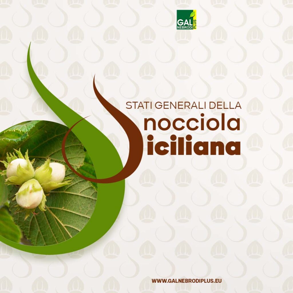 GAL NEBRODI PLUS – Stati Generali della Nocciola Siciliana: si redigerà il Piano Corilicolo Siciliano