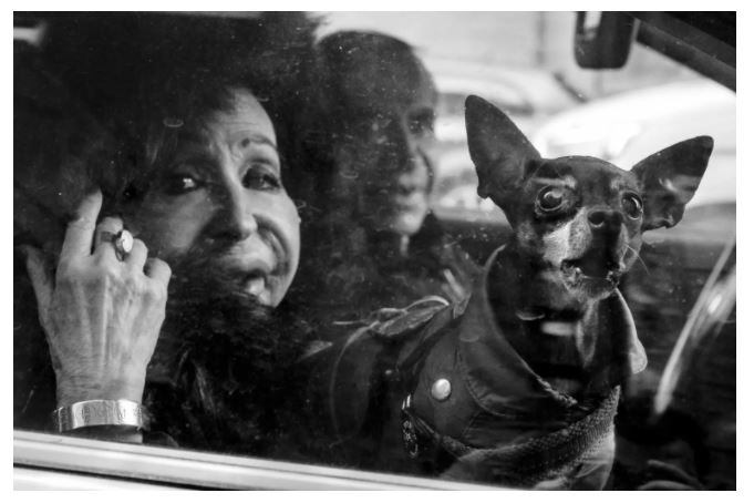 “LA CITTA’ DEI CANI” – A Milano la Mostra Fotografica di Antonio Vezzari