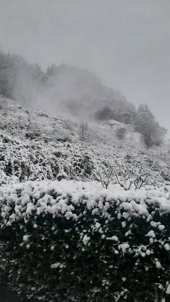 FLORESTA – La prima neve