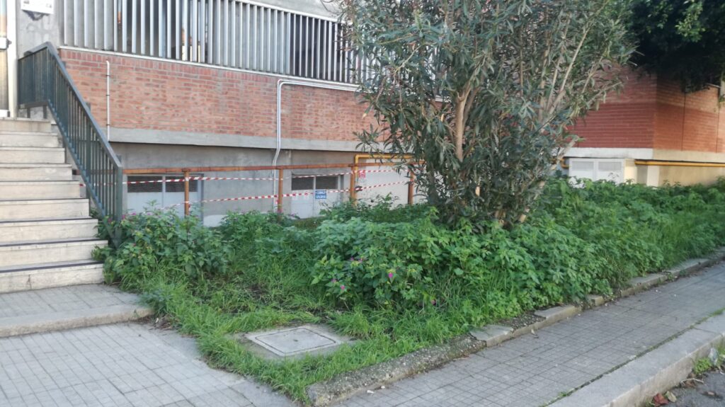 SANT’AGATA MILITELLO – Incuria e abbandono zona antistante scuola Cesare, Recupero firma l’interrogazione consiliare