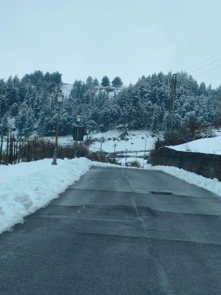 FLORESTA – In azione le squadre per lo spalamento neve
