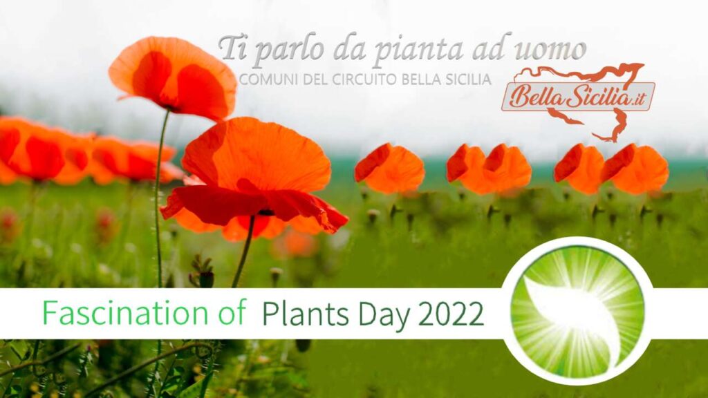 BELLA SICILIA – Il circuito turistico aderisce al “Fascination Plants Day 2022”