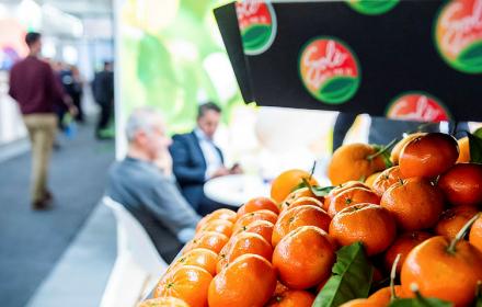 Attività produttive – Avviso fiere 2022/23. Turano: «La Sicilia a 12 fiere internazionali»