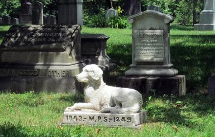 MUSUMECI – «Anche in Sicilia i cimiteri per animali d’affezione»