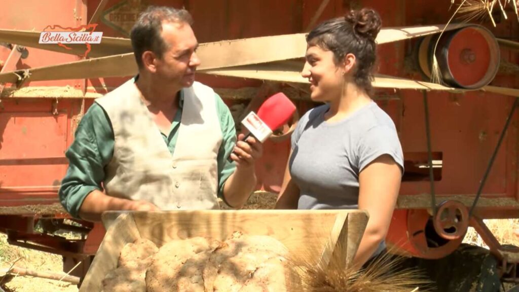BELLA SICILIA – Gloria a 16 anni miete il grano, il video spopola sui social