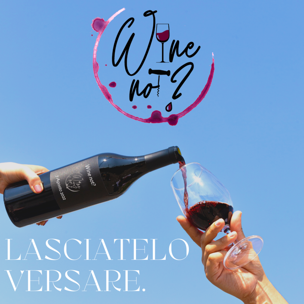 SANT’ANDREA DI ROMETTA – Torna “Wine Not?” percorso di degustazione enologica alla scoperta delle eccellenze del territorio