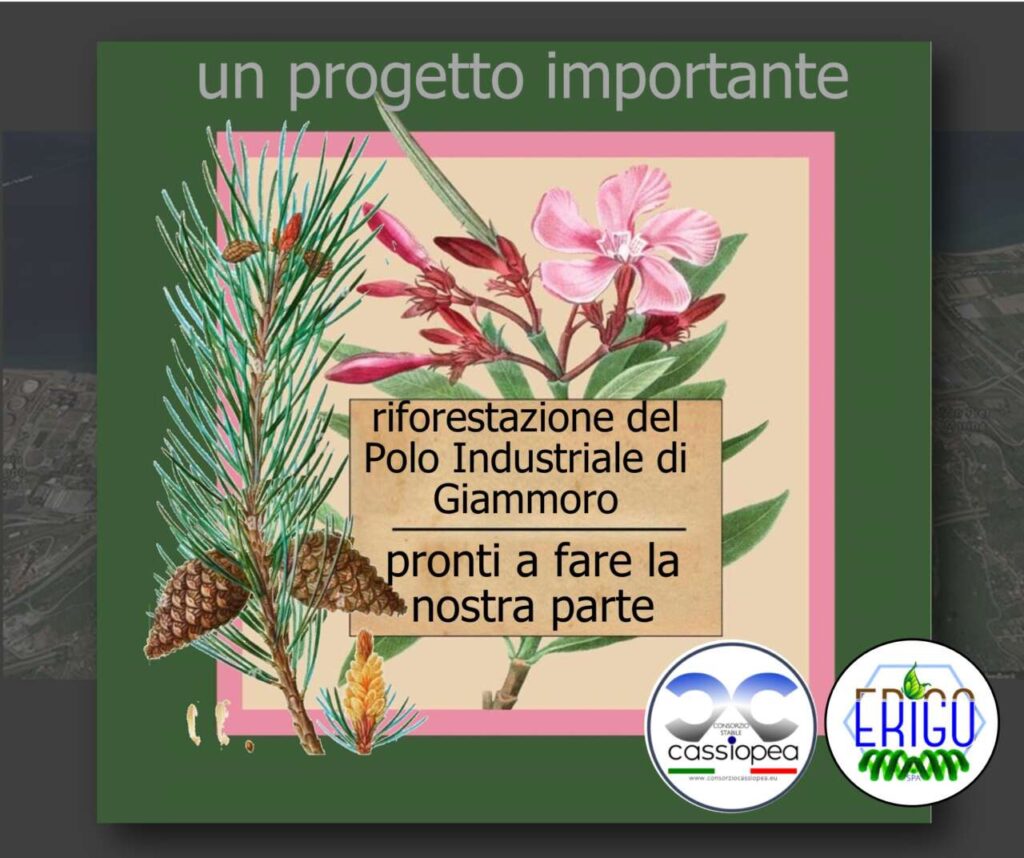 RIFORESTAZIONE DEL POLO INDUSTRIALE – A Pace del Mela collaboreranno anche Erigo pro e Consorzio Cassiopea