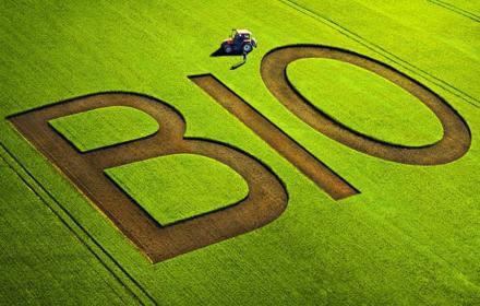 SICILIA – Agricoltura, Sammartino: «In pagamento 90 milioni di aiuti del Psr agli agricoltori e allevatori»