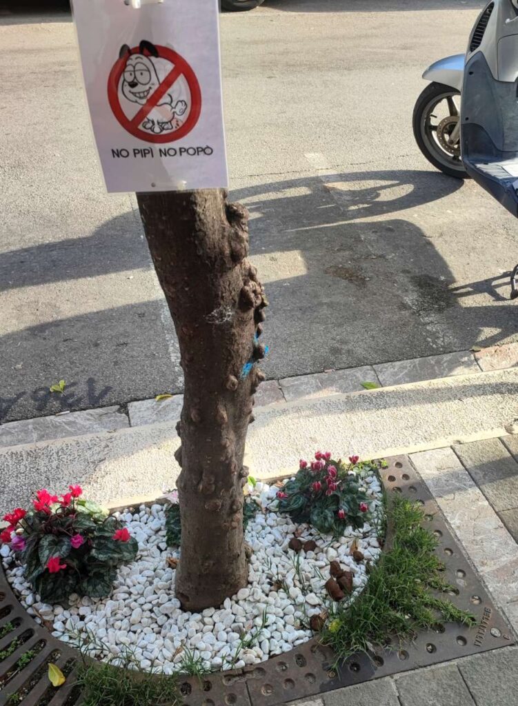 LA FOTO – Sei Di Coccio! E Non Solo