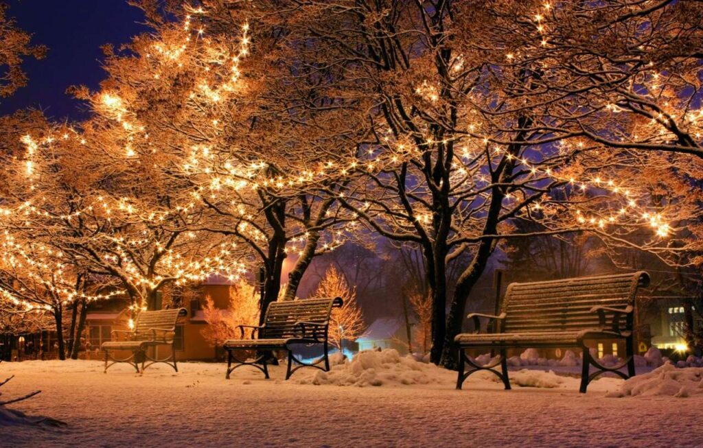 ECO DELLA NOTTE SANTA – La Festa e il silenzio di una sofferta dignità