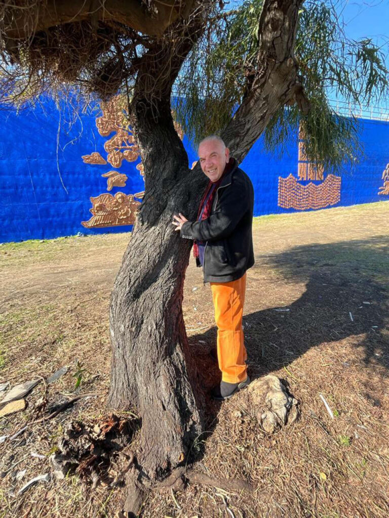 ANTONIO PRESTI – Bellezza, a Librino sarà inaugurazione la Porta delle Farfalle