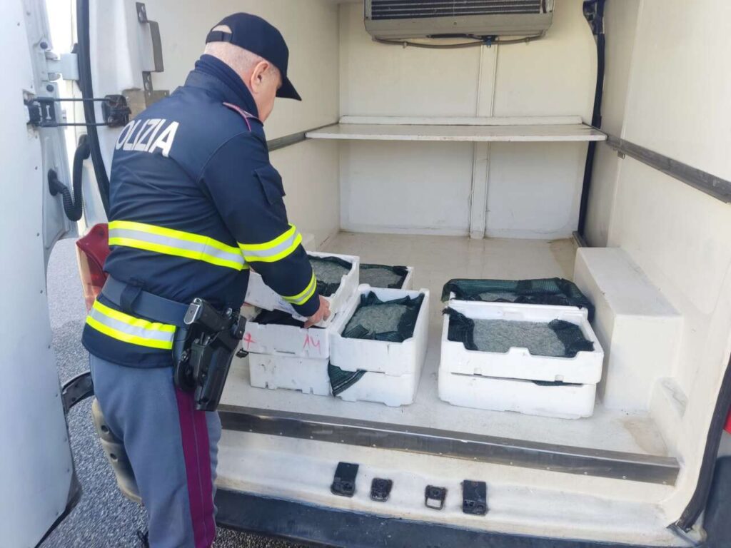 SICUREZZA ALIMENTARE E TUTELA AMBIENTALE – La Polizia di Stato sequestra cento chili di novellame