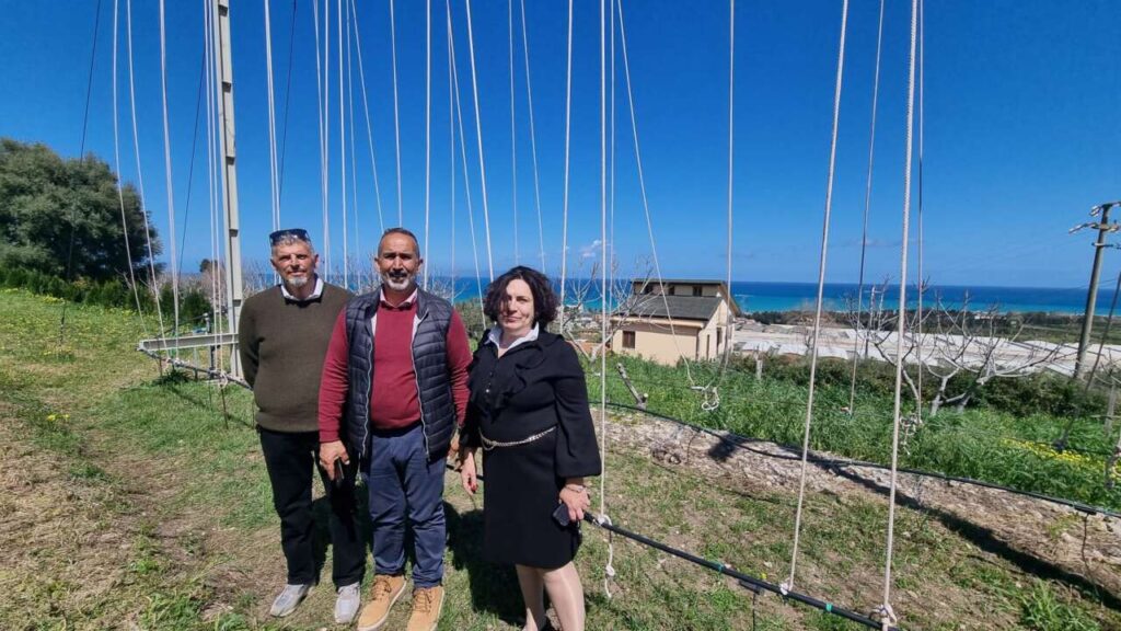 NUOVE FILIERE – Parte da Patti la filiera della prima birra autoctona di Sicilia. Fra i partner anche l’I.T.S. Albatros di Messina